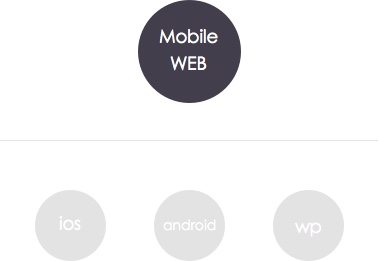 手机版网站开发